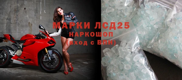 индика Михайловск