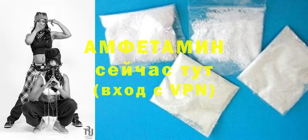 индика Михайловск