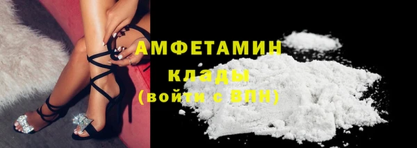 индика Михайловск