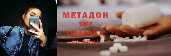 индика Михайловск