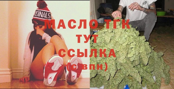 индика Михайловск
