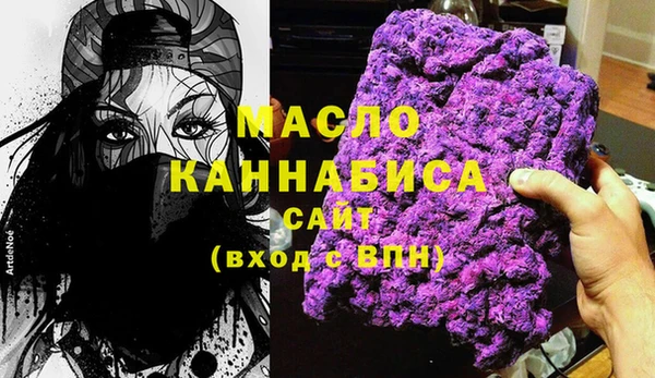 индика Михайловск