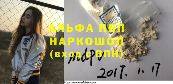индика Михайловск
