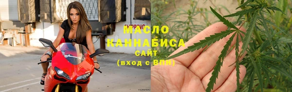 индика Михайловск